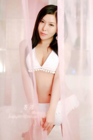 一条狗的使命2