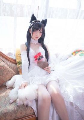 卫子夫电视剧全集免费观看完整版
